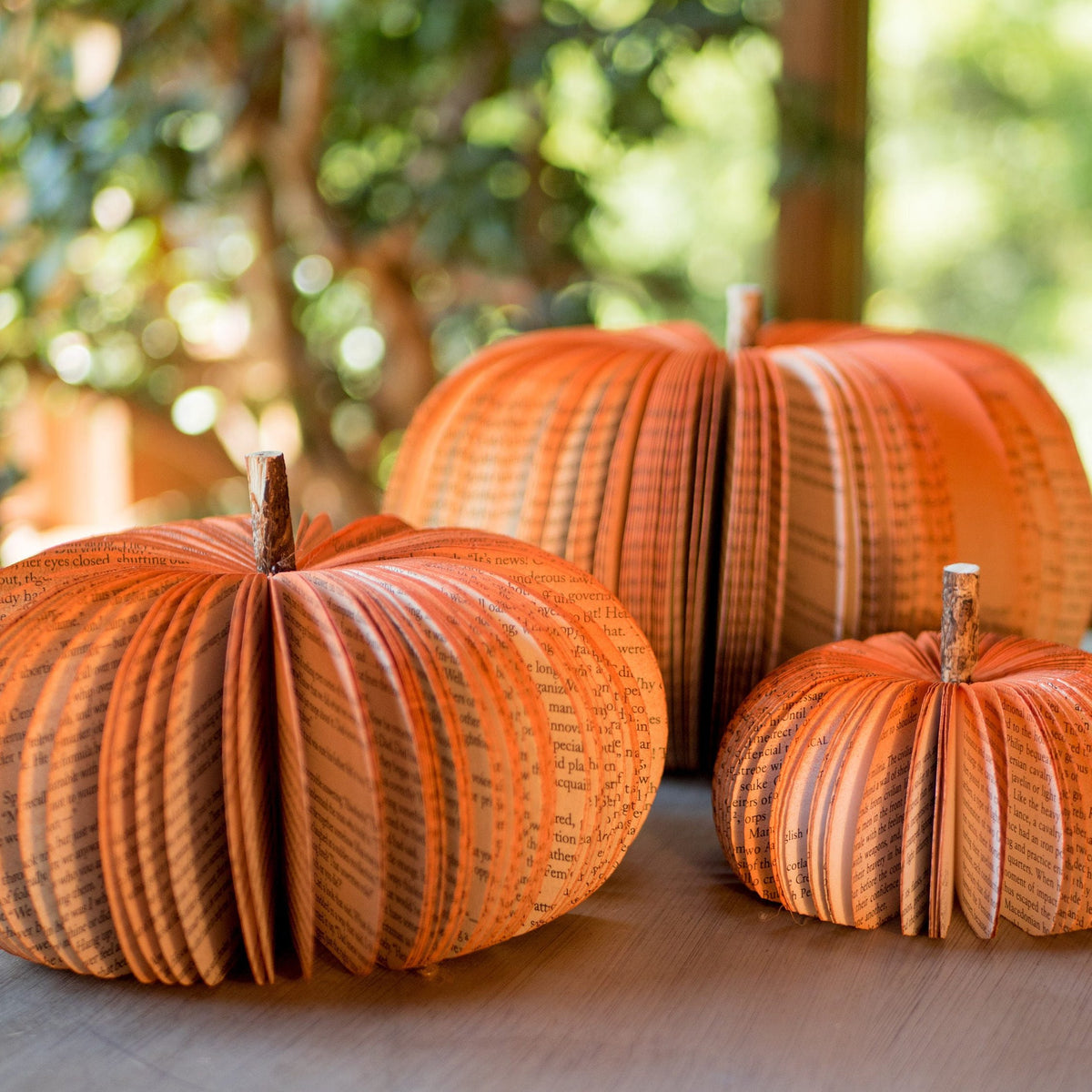 Fall Décor