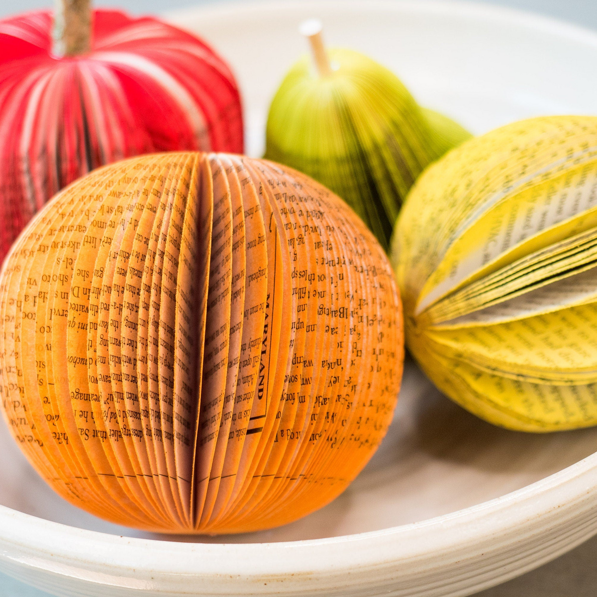 Fruit