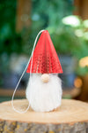 Red Christmas Gnome