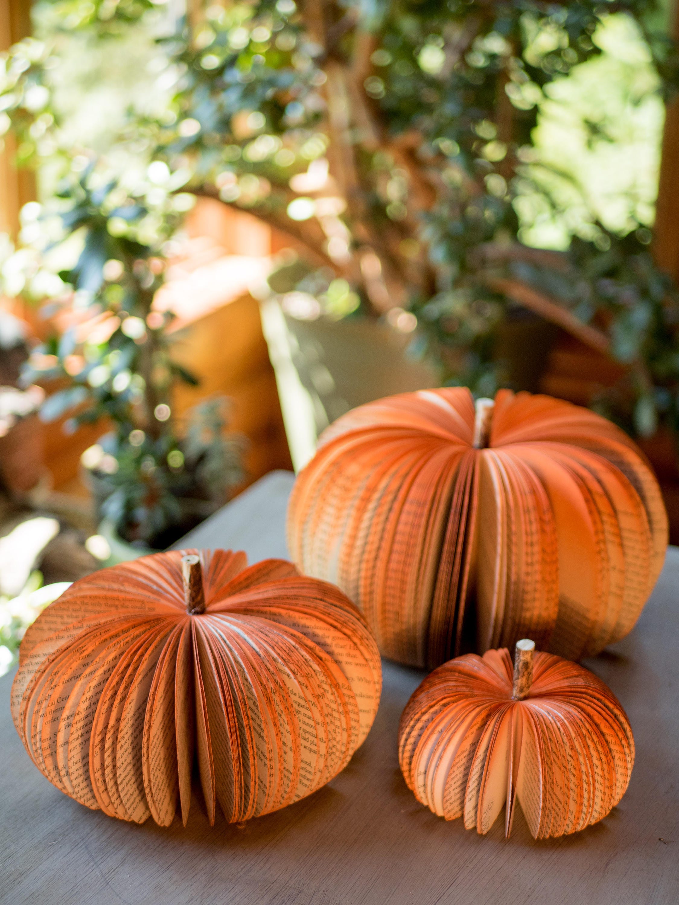 Book Pumpkins