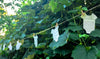 Harry Potter Onesie Garland