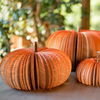 Book Pumpkins