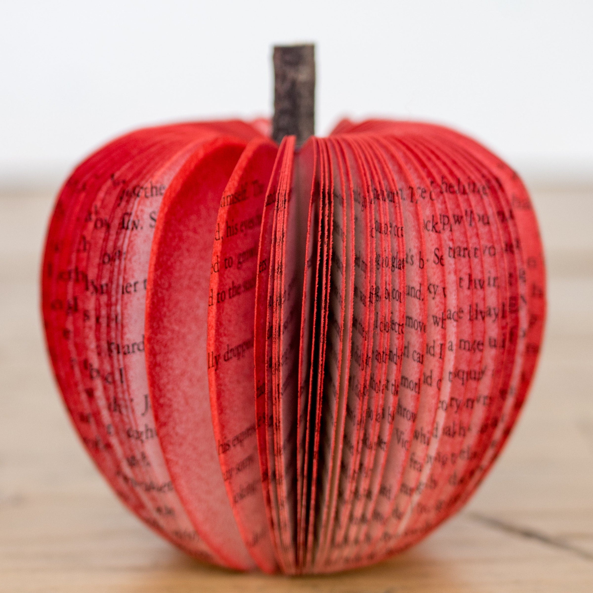 Apple Teacher Book Gift Christmas and Fall Decor Gift for Anniversary