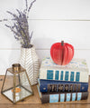 Apple Teacher Book Gift Christmas and Fall Decor Gift for Anniversary