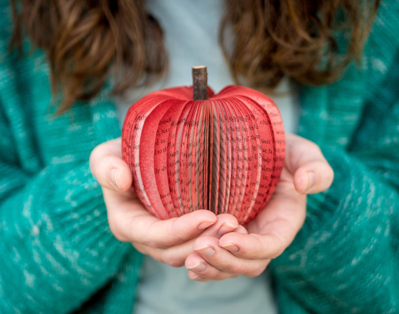 Apple Teacher Book Gift Christmas and Fall Decor Gift for Anniversary