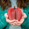 Apple Teacher Book Gift Christmas and Fall Decor Gift for Anniversary