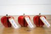 Apple Teacher Book Gift Christmas and Fall Decor Gift for Anniversary