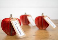 Apple Teacher Book Gift Christmas and Fall Decor Gift for Anniversary