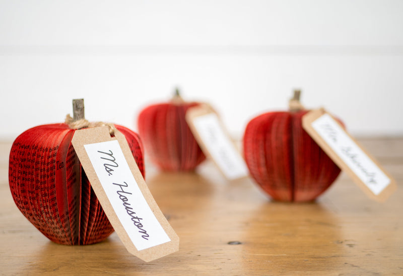 Apple Teacher Book Gift Christmas and Fall Decor Gift for Anniversary