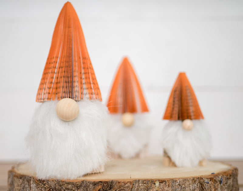 Fall Gnome
