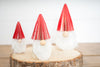 Red Christmas Gnome