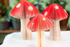 Book Mushroom