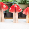 Book Mushroom