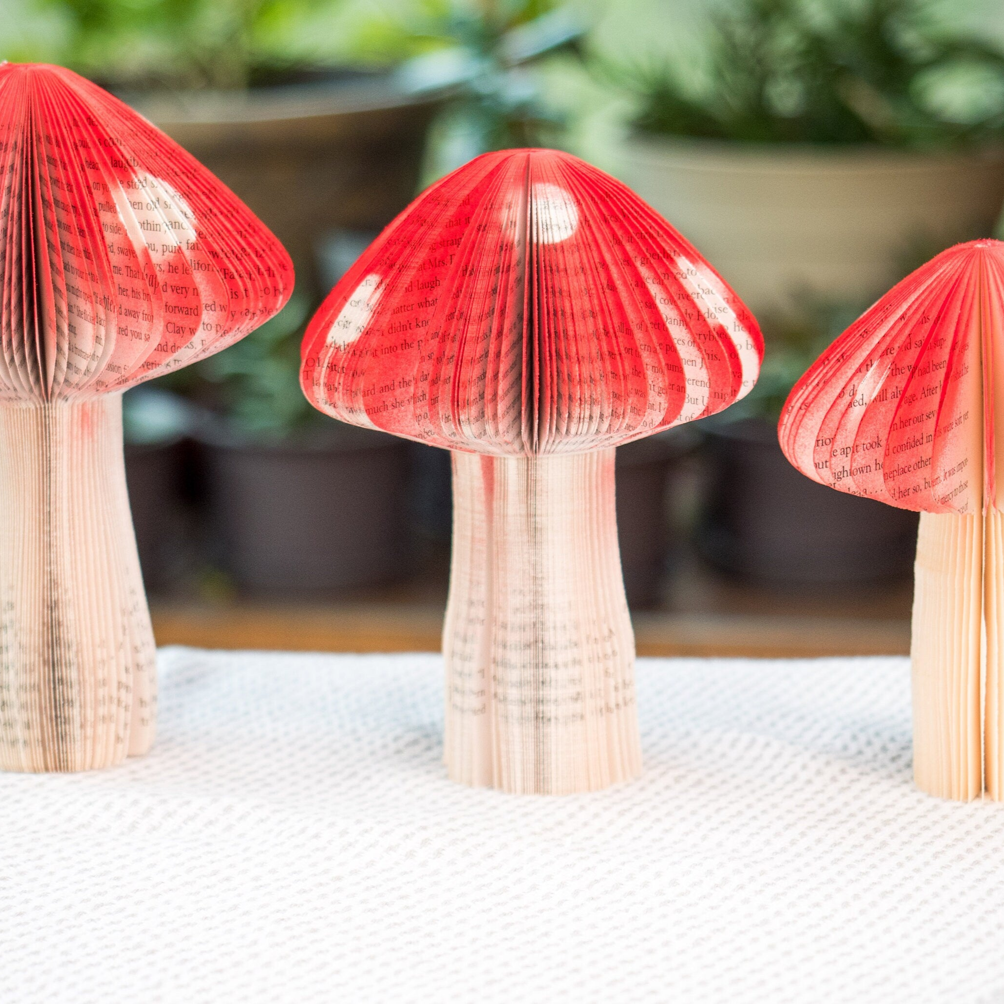 Book Mushroom