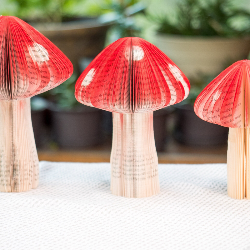 Book Mushroom