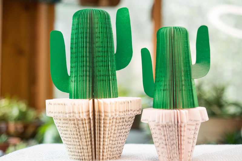 Plant Decor Cactus Plant Mom Gift Book Themed Succulent Gift