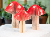 Book Mushroom