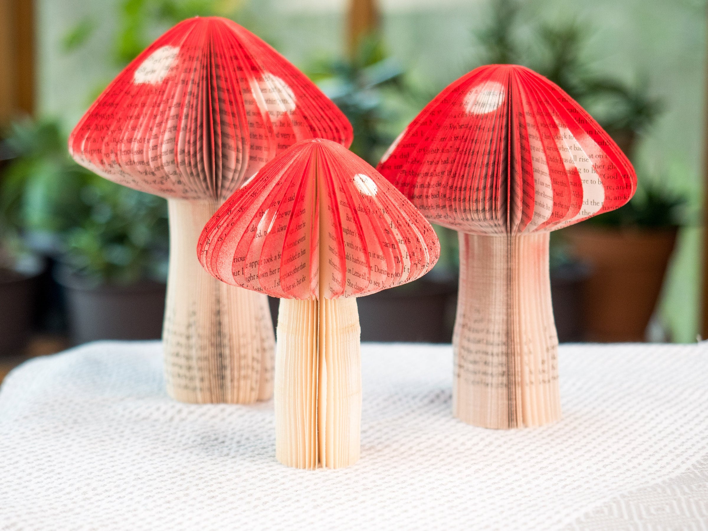 Book Mushroom