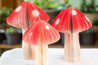 Book Mushroom