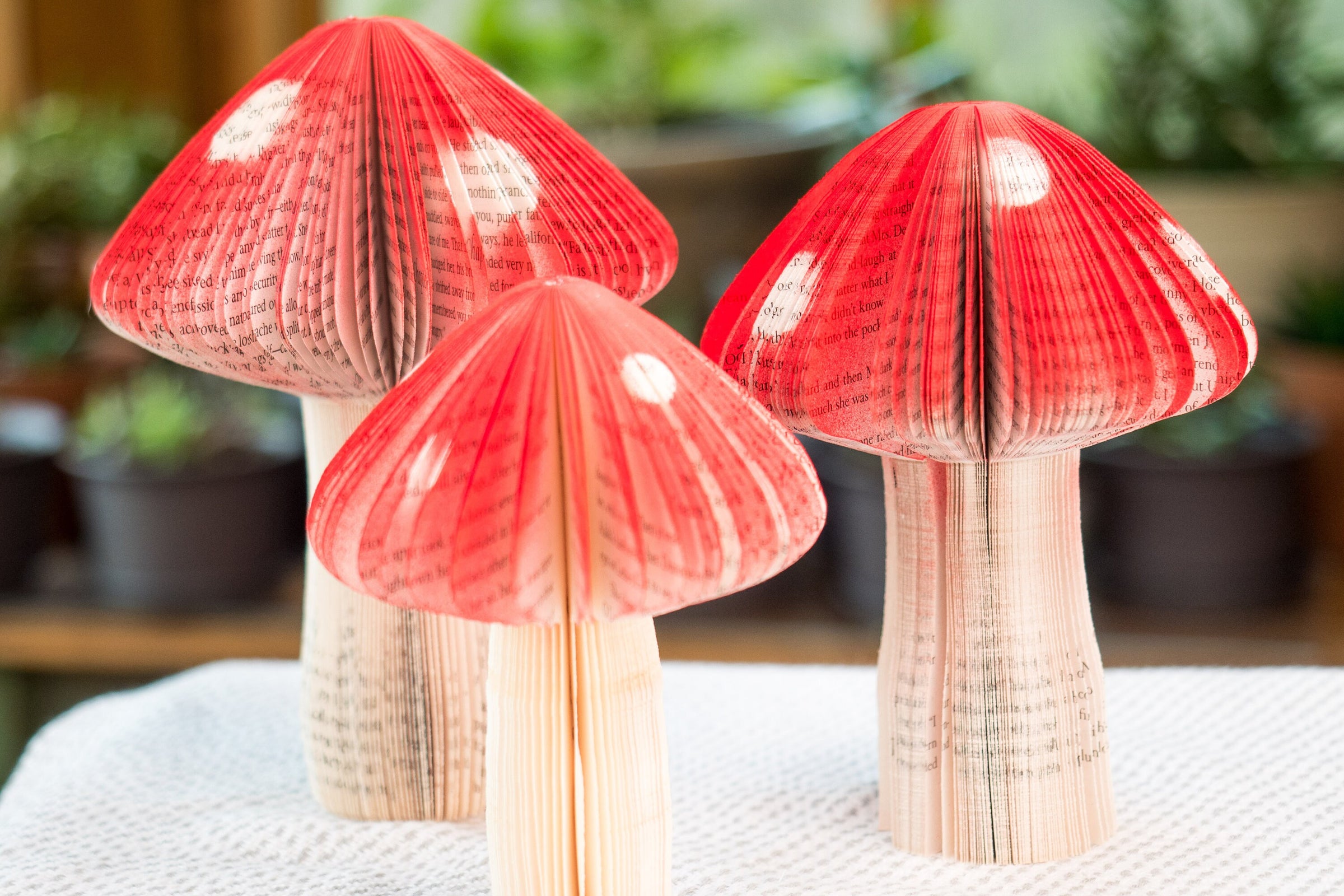 Book Mushroom