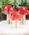 Book Mushroom