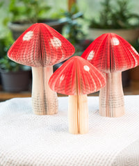 Book Mushroom
