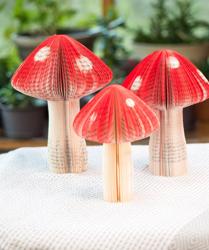Book Mushroom