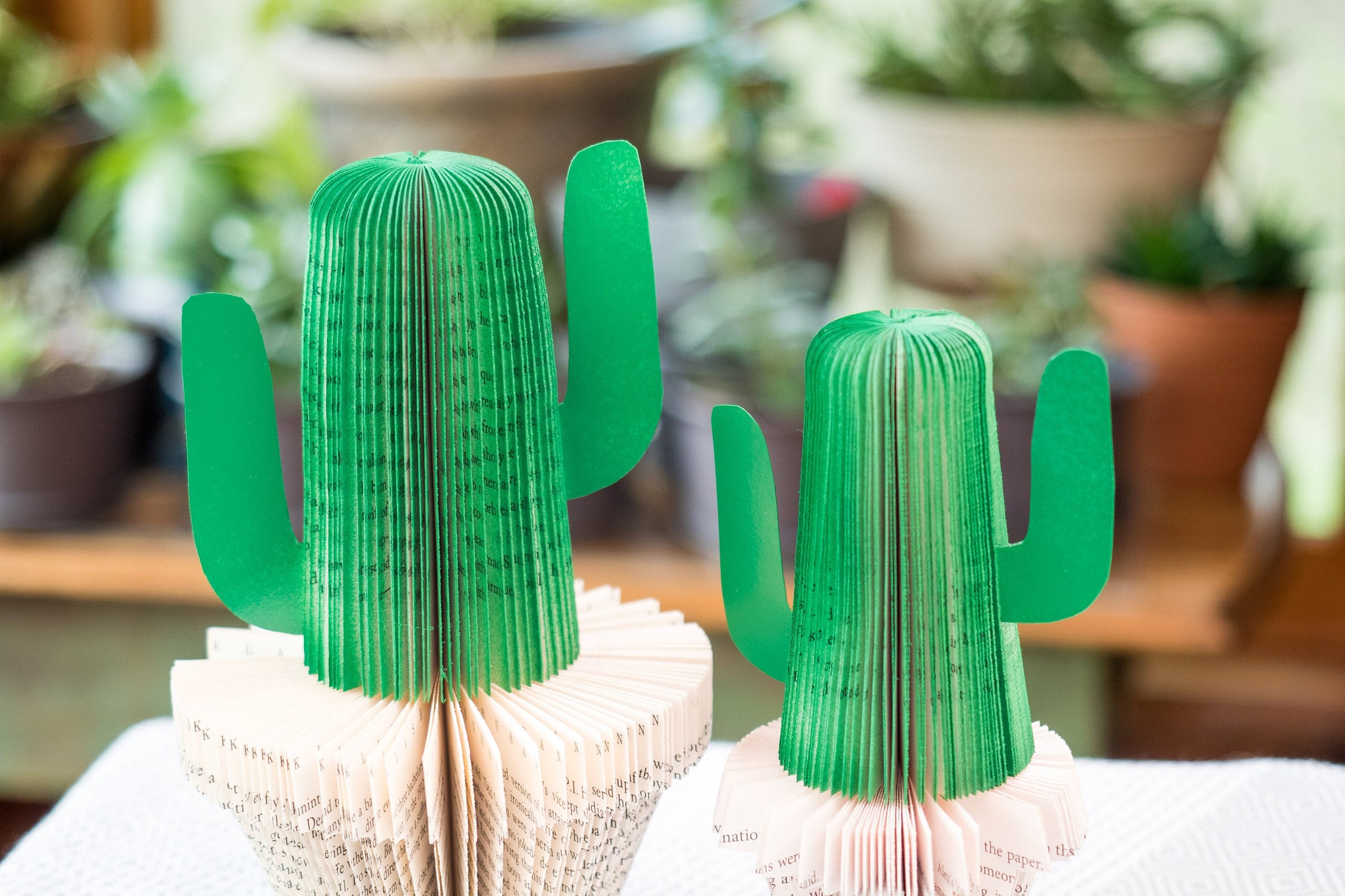Plant Decor Cactus Plant Mom Gift Book Themed Succulent Gift