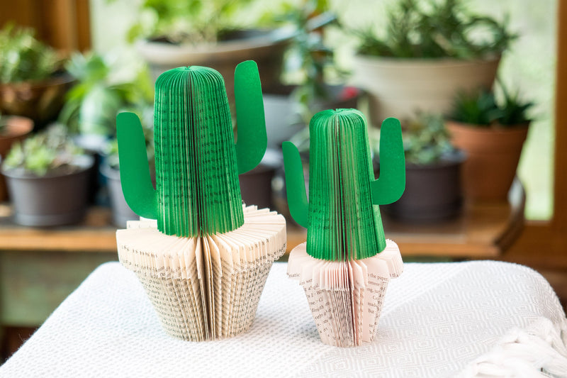 Plant Decor Cactus Plant Mom Gift Book Themed Succulent Gift