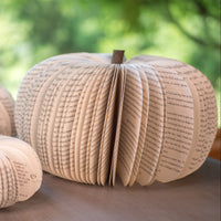 Magenta Book Pumpkin