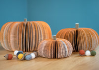 Fall Decor Felt Acorns Thanksgiving Table Decor Bowl Fillers Halloween Decor