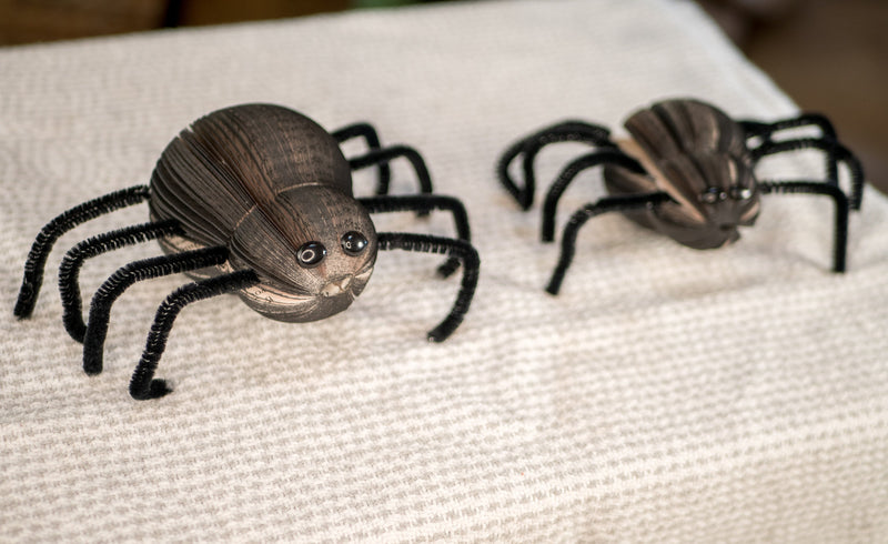 Creepy Spiders