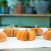 Fall Decor Pumpkin Cuties Thanksgiving Table Decor Halloween Book Gift