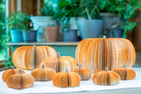 Fall Decor Pumpkin Cuties Thanksgiving Table Decor Halloween Book Gift