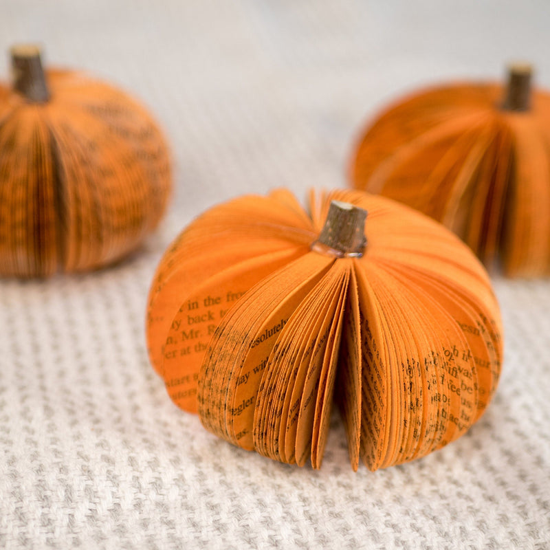 Fall Decor Pumpkin Cuties Thanksgiving Table Decor Halloween Book Gift