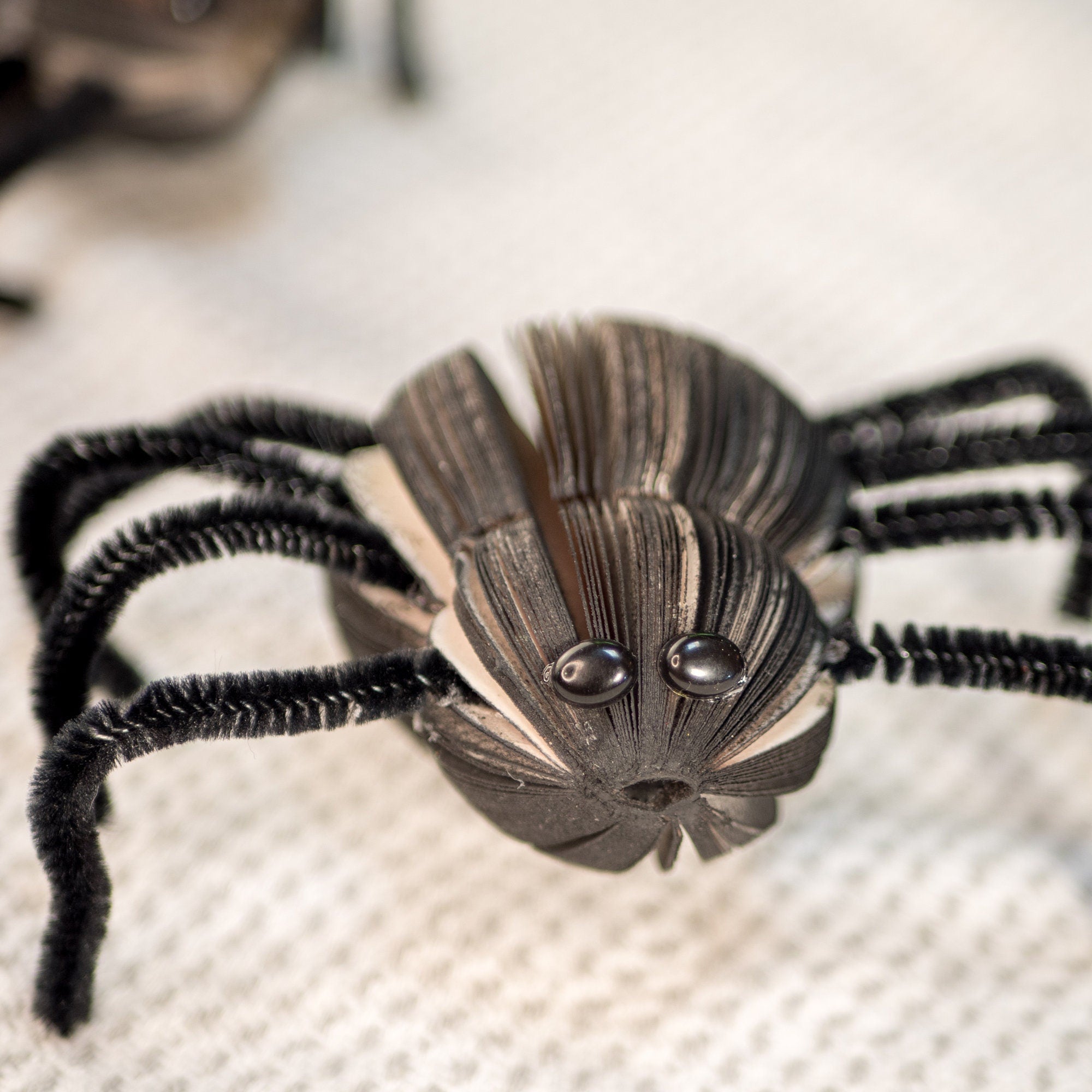Creepy Spiders