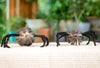 Creepy Spiders