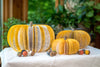 Fall Decor Book Pumpkins Thanksgiving Table Decor for Halloween Book Themed