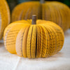 Colorful Book Pumpkins