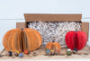 Fall Decor Gift Box