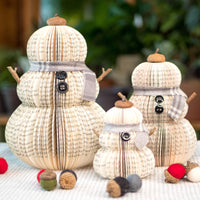 Book Snowman Gray Scarf
