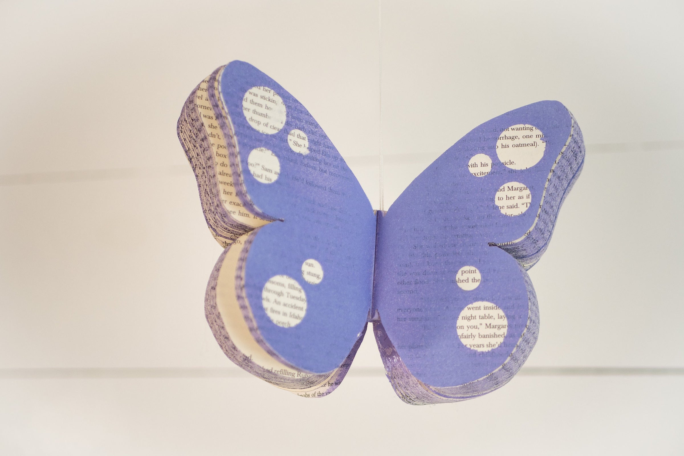 Butterfly Party Decor