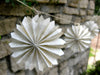 Harry Potter Rosette Garland