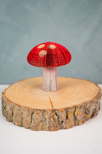 Mini Book Mushroom