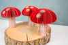 Mini Book Mushroom