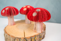 Mini Book Mushroom