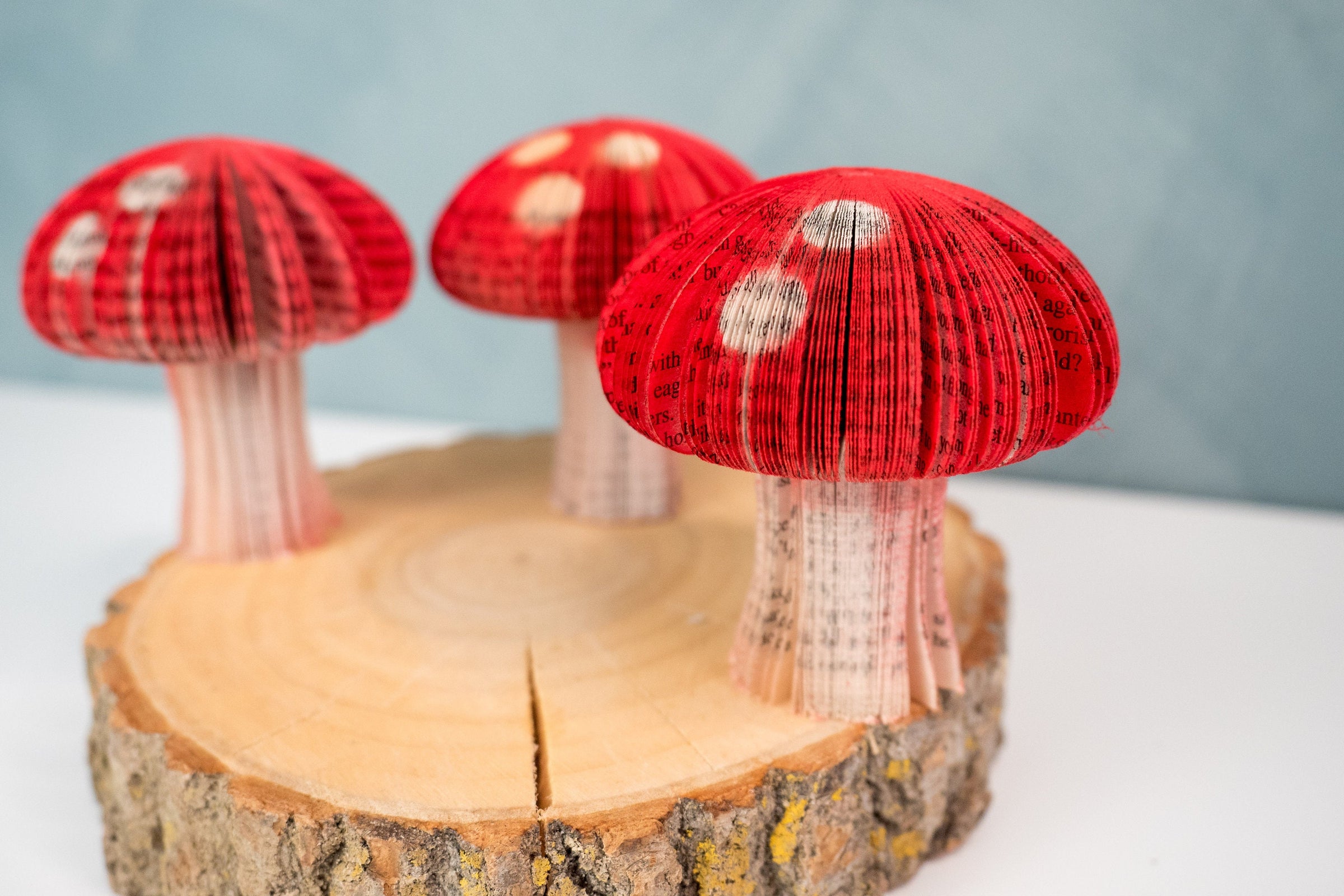 Mini Book Mushroom