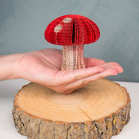 Mini Book Mushroom