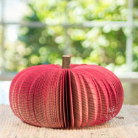Pink Book Pumpkins
