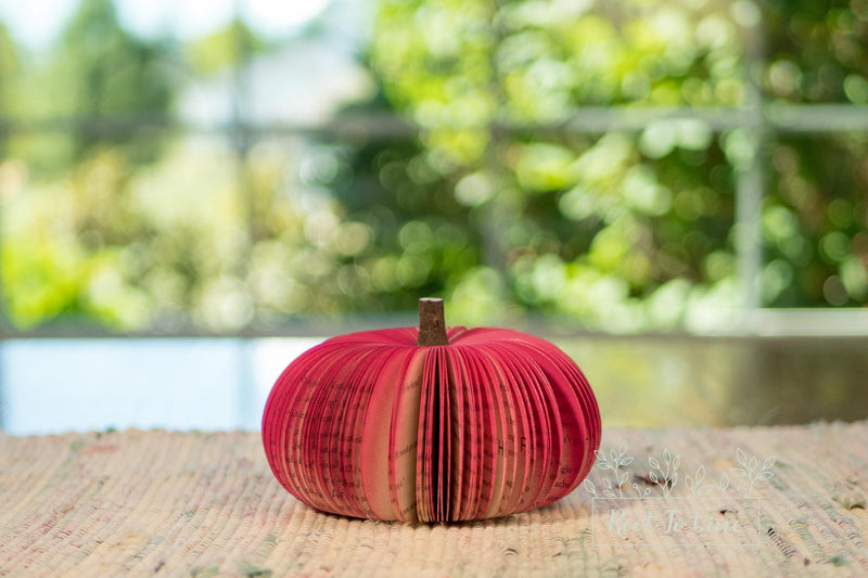 Pink Book Pumpkins